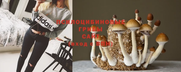 spice Белокуриха