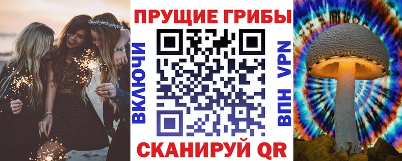 что такое наркотик Курильск Псилоцибиновые грибы прущие грибы
